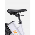 ENGWE P275 ST | Bici Eléctrica Elegante | 260KM Autonomía