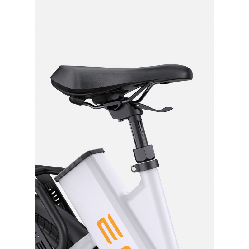 ENGWE P275 ST | Bici Eléctrica Elegante | 260KM Autonomía