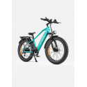 ENGWE E26  | Bici Eléctrica 250W | 140KM Autonomía