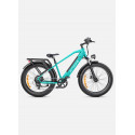 ENGWE E26  | Bici Eléctrica 250W | 140KM Autonomía