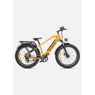 ENGWE E26  | Bici Eléctrica 250W | 140KM Autonomía