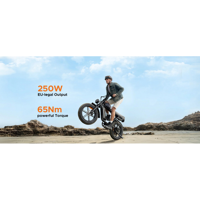 ENGWE M1 Bicicleta Eléctrica | 170KM Autonomía | Doble Batería 1373Wh | Certificada UE