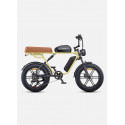 ENGWE M1 Bicicleta Eléctrica | 170KM Autonomía | Doble Batería 1373Wh | Certificada UE