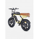 ENGWE M1 Bicicleta Eléctrica | 170KM Autonomía | Doble Batería 1373Wh | Certificada UE