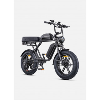ENGWE M1 Bicicleta Eléctrica | 170KM Autonomía | Doble Batería 1373Wh | Certificada UE