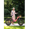 Bicicleta Eléctrica | 140KM Autonomía | Batería Extraíble 36V/15.6Ah | Shimano 7 Velocidades | Plegable