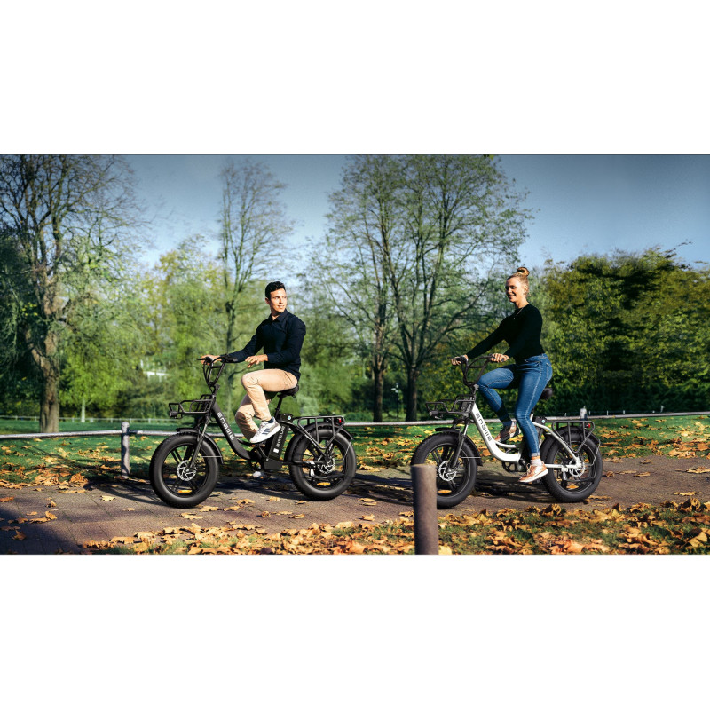 Bicicleta Eléctrica | 140KM Autonomía | Batería Extraíble 36V/15.6Ah | Shimano 7 Velocidades | Plegable