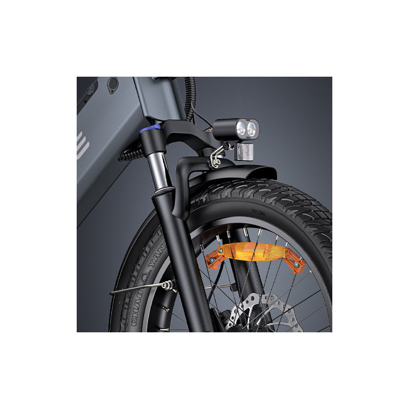 ENGWE LE20 Bicicleta Eléctrica de Carga | 350KM | 200KG