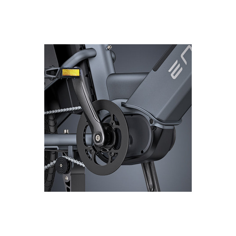ENGWE LE20 Bicicleta Eléctrica de Carga | 350KM | 200KG