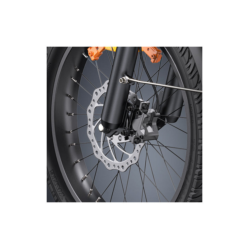 ENGWE LE20 Bicicleta Eléctrica de Carga | 350KM | 200KG