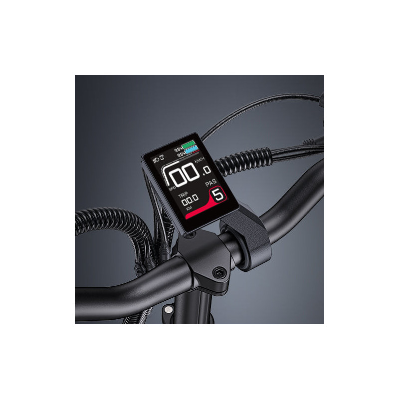 ENGWE LE20 Bicicleta Eléctrica de Carga | 350KM | 200KG