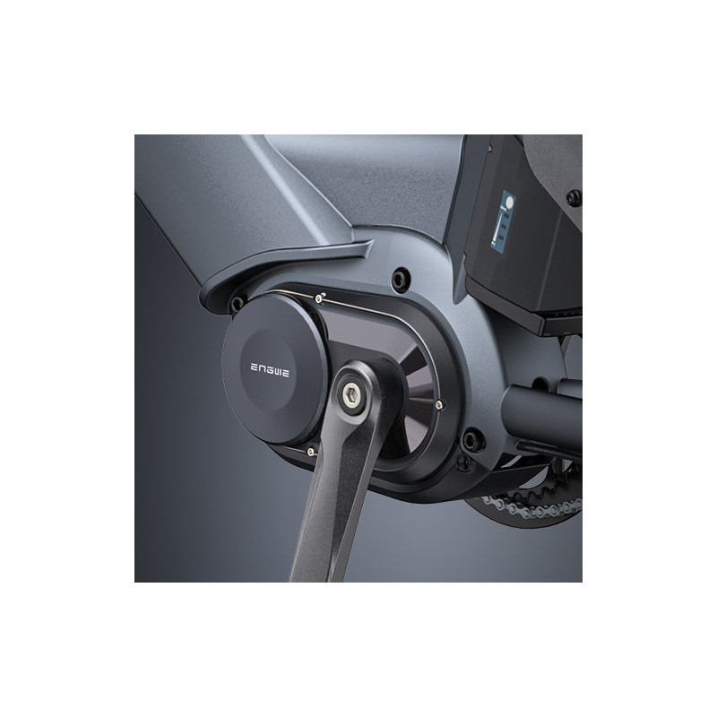 ENGWE LE20 Bicicleta Eléctrica de Carga | 350KM | 200KG