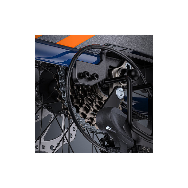 ENGWE LE20 Bicicleta Eléctrica de Carga | 350KM | 200KG